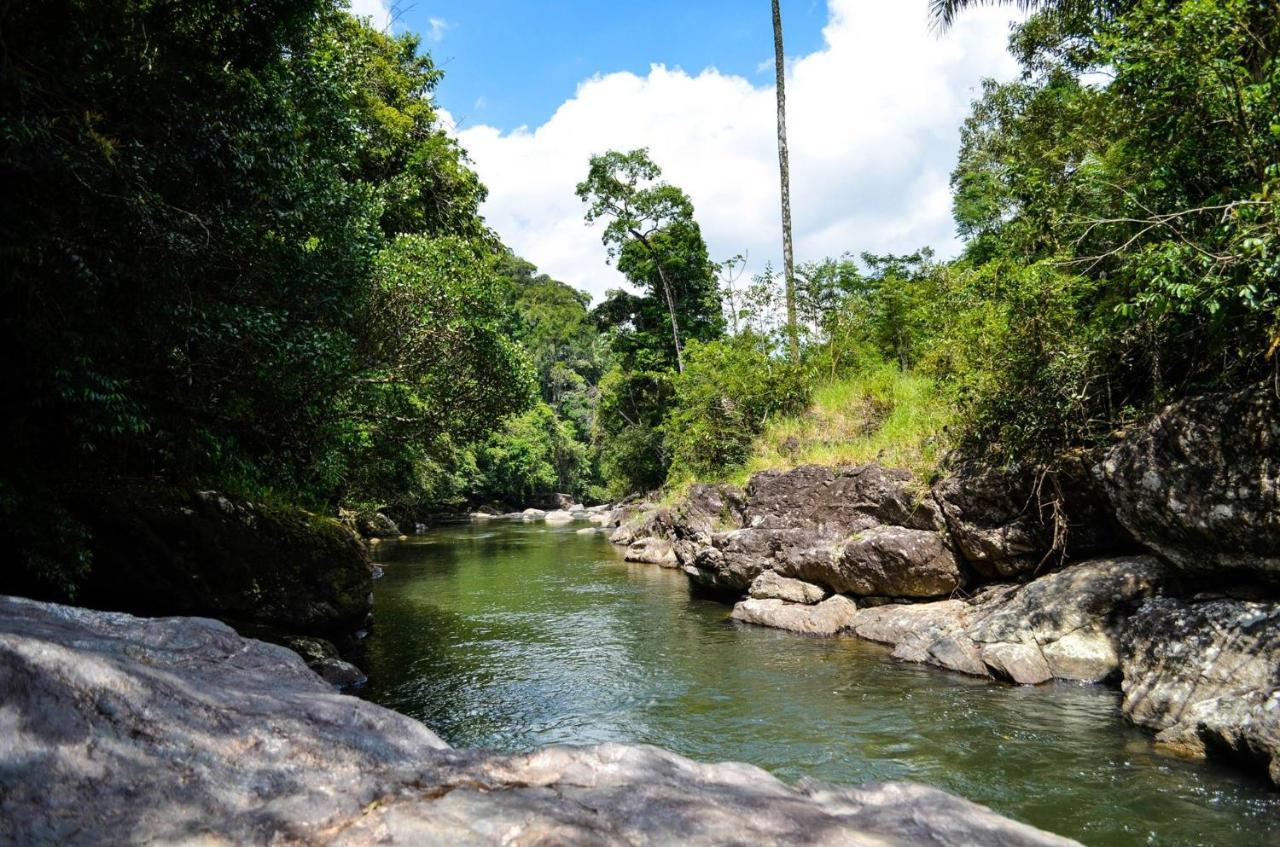 Sitio Flor Das Aguas Lumiar Esterno foto